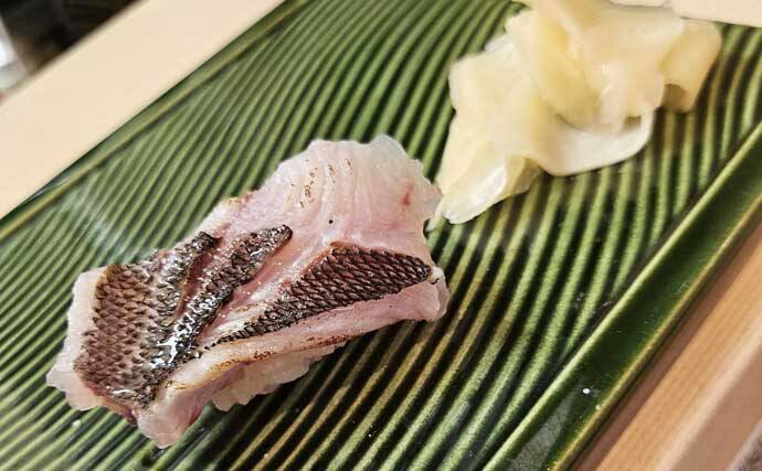 伝馬船の「カセ釣り」でイサキ2桁釣果【和歌山】釣った魚の握り寿司に舌鼓