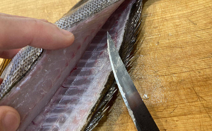 初夏の旬魚イサキを「フィレナイフ」で捌いてみた　しなる刃が魚体に沿って三枚おろし精度アップ！