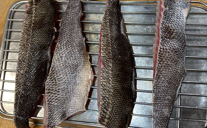初夏の旬魚イサキを「フィレナイフ」で捌いてみた　しなる刃が魚体に沿って三枚おろし精度アップ！