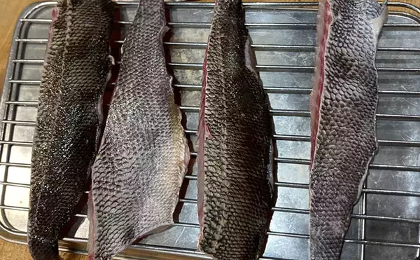 「初夏の旬魚イサキを「フィレナイフ」で捌いてみた　しなる刃が魚体に沿って三枚おろし精度アップ！」の画像