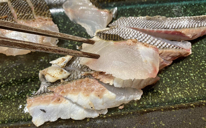初夏の旬魚イサキを「フィレナイフ」で捌いてみた　しなる刃が魚体に沿って三枚おろし精度アップ！