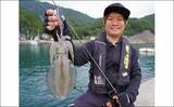 「晩秋の陸っぱりエギング徹底解説 【釣り場選び・おすすめエギ・釣り方】」の画像2