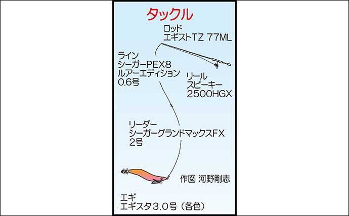 晩秋の陸っぱりエギング徹底解説 【釣り場選び・おすすめエギ・釣り方】