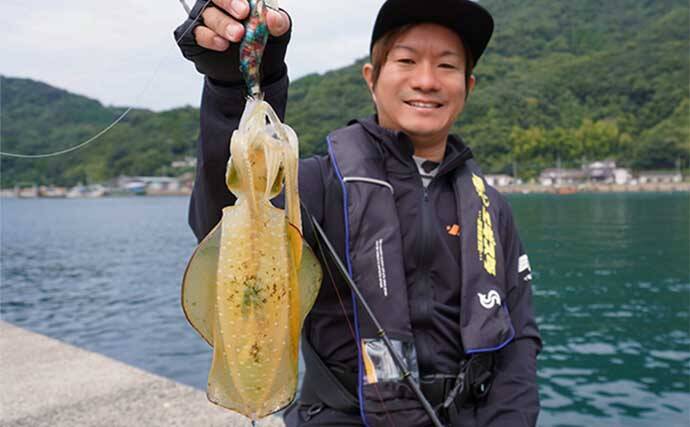晩秋の陸っぱりエギング徹底解説 【釣り場選び・おすすめエギ・釣り方】