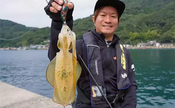 「晩秋の陸っぱりエギング徹底解説 【釣り場選び・おすすめエギ・釣り方】」の画像