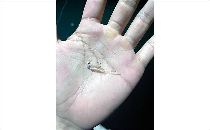 初秋のライトゲーム釣行でアジ＆メバルが顔出し【北九州】超軽量ジグヘッドで攻略