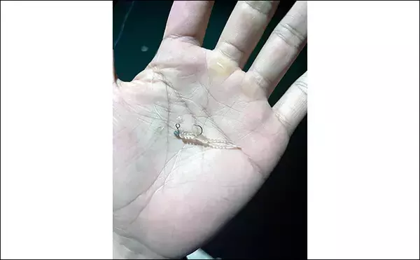 「初秋のライトゲーム釣行でアジ＆メバルが顔出し【北九州】超軽量ジグヘッドで攻略」の画像