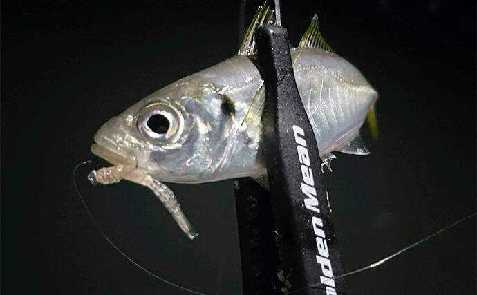 初秋のライトゲーム釣行でアジ＆メバルが顔出し【北九州】超軽量ジグヘッドで攻略