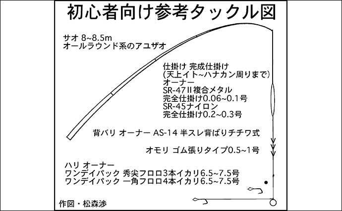アユのトモ釣りを始めよう！【鮎の生態・釣りの原理・道具・釣り方を解説】