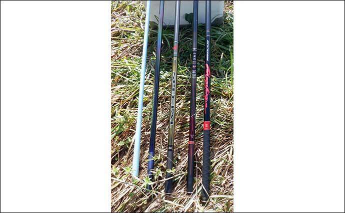 アユのトモ釣りを始めよう！【鮎の生態・釣りの原理・道具・釣り方を解説】