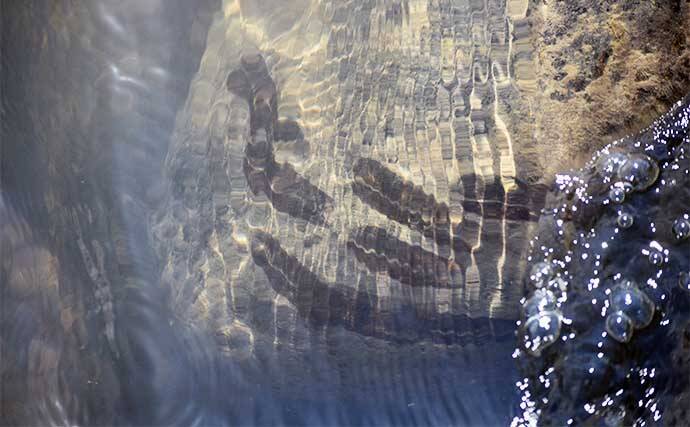 アユのトモ釣りを始めよう！【鮎の生態・釣りの原理・道具・釣り方を解説】