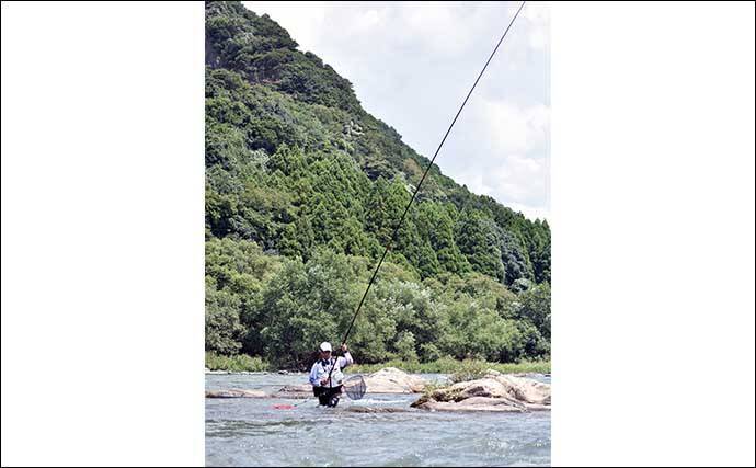 アユのトモ釣りを始めよう！【鮎の生態・釣りの原理・道具・釣り方を解説】