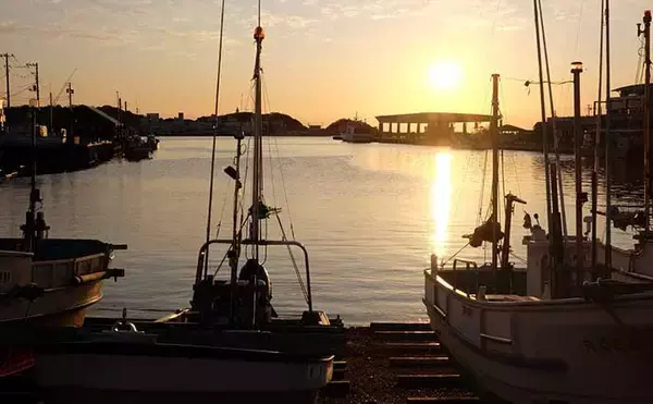 「「上限未達なのに？」水産庁がクロマグロの採捕禁止を発表【8月5日〜9月30日まで】」の画像