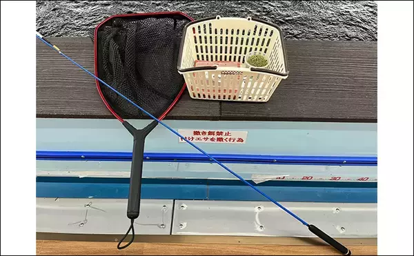 「オープンしたての室内釣り堀『つり堀 遊』で大ゴイ4尾【愛知】簡単じゃないから面白い？」の画像