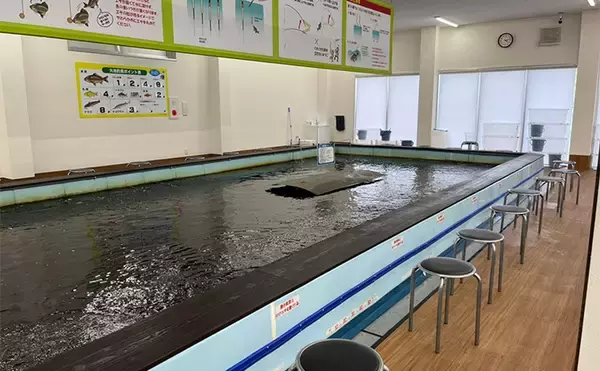 「オープンしたての室内釣り堀『つり堀 遊』で大ゴイ4尾【愛知】簡単じゃないから面白い？」の画像