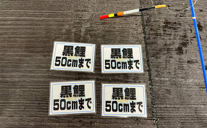 オープンしたての室内釣り堀『つり堀 遊』で大ゴイ4尾【愛知】簡単じゃないから面白い？