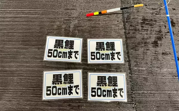 「オープンしたての室内釣り堀『つり堀 遊』で大ゴイ4尾【愛知】簡単じゃないから面白い？」の画像