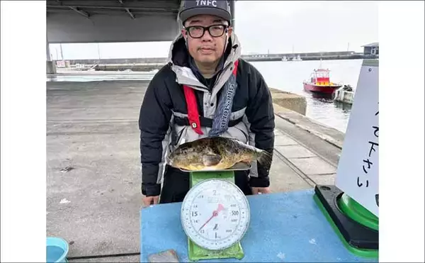 「【沖釣り釣果速報】チヌジギで良型チヌが続々！平均サイズは45cm（愛知）」の画像