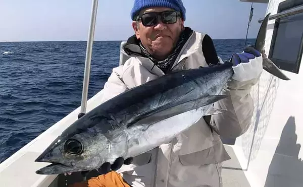 「【沖釣り釣果速報】チヌジギで良型チヌが続々！平均サイズは45cm（愛知）」の画像