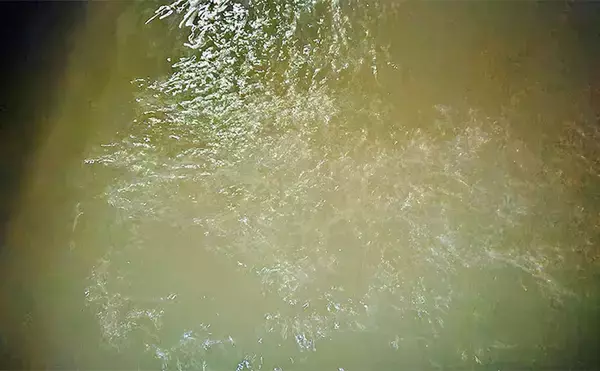 「「魚がボイルしてるのにルアーにヒットしない！」 食わないボイルの攻略法2選」の画像