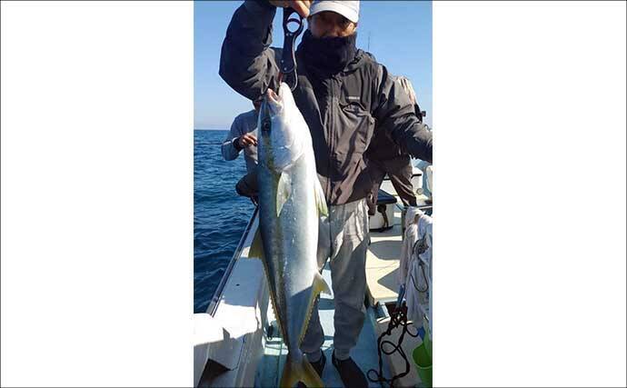 【沖釣り釣果速報】芦屋沖の落とし込み釣りで100cmヒラマサ浮上！船中青物57匹の爆発劇（福岡）