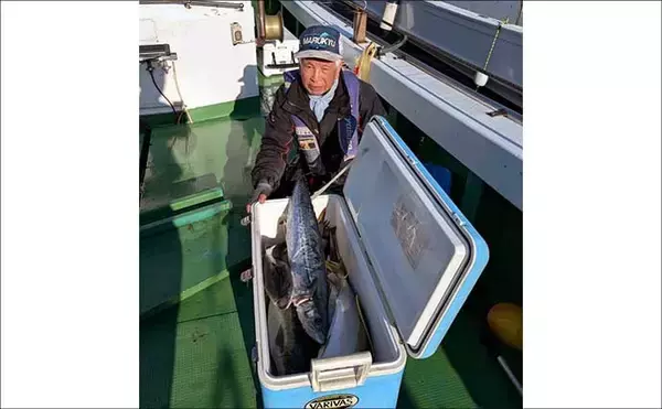 「【沖釣り釣果速報】芦屋沖の落とし込み釣りで100cmヒラマサ浮上！船中青物57匹の爆発劇（福岡）」の画像