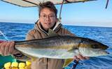 「【沖釣り釣果速報】芦屋沖の落とし込み釣りで100cmヒラマサ浮上！船中青物57匹の爆発劇（福岡）」の画像19