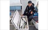 「【沖釣り釣果速報】芦屋沖の落とし込み釣りで100cmヒラマサ浮上！船中青物57匹の爆発劇（福岡）」の画像2