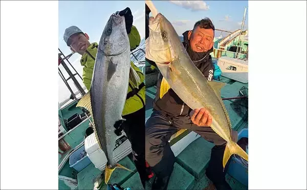 「【沖釣り釣果速報】芦屋沖の落とし込み釣りで100cmヒラマサ浮上！船中青物57匹の爆発劇（福岡）」の画像