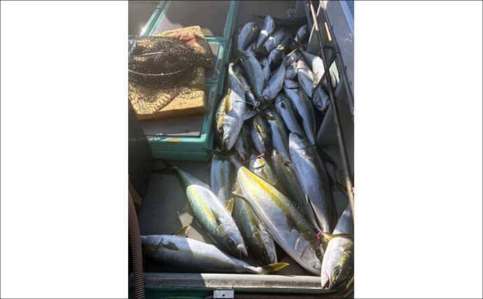 【沖釣り釣果速報】芦屋沖の落とし込み釣りで100cmヒラマサ浮上！船中青物57匹の爆発劇（福岡）