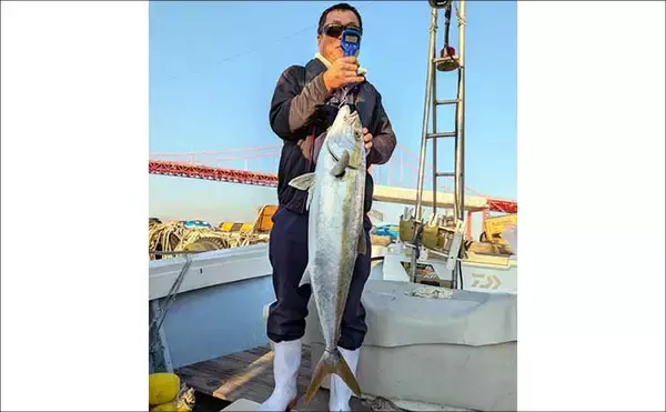「【沖釣り釣果速報】芦屋沖の落とし込み釣りで100cmヒラマサ浮上！船中青物57匹の爆発劇（福岡）」の画像