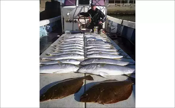 「【沖釣り釣果速報】芦屋沖の落とし込み釣りで100cmヒラマサ浮上！船中青物57匹の爆発劇（福岡）」の画像