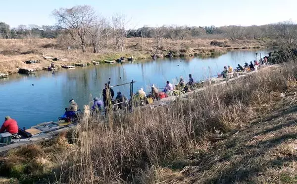 今週のヘラブナ推薦釣り場2026【神奈川・千代田下】