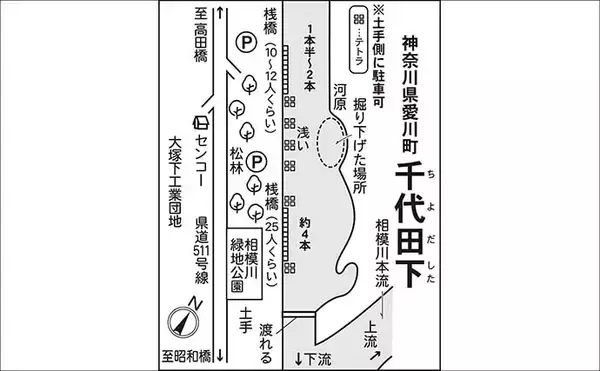 「今週のヘラブナ推薦釣り場2026【神奈川・千代田下】」の画像
