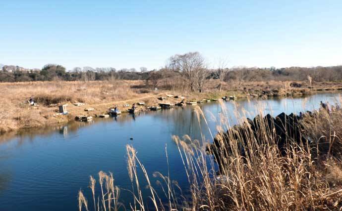 今週のヘラブナ推薦釣り場2026【神奈川・千代田下】