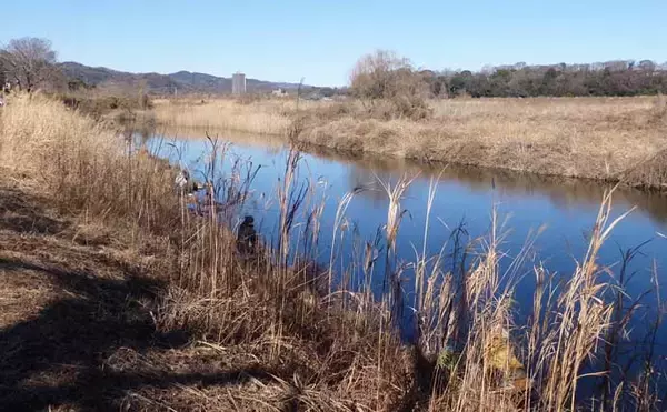 「今週のヘラブナ推薦釣り場2026【神奈川・千代田下】」の画像