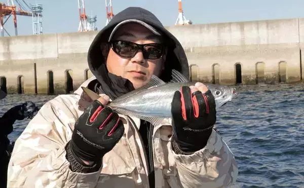 389人集結の江戸前釣り大会2026　33cm頭に尺級アジ登場＆129.5cmタチウオ優勝