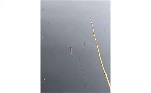 「ハゼ釣りの【ウキ釣りとミャク釣りのメリット＆デメリット】 初心者に向いているのは？」の画像