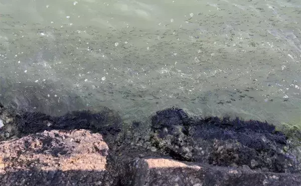 「「ヒラメ連発も夢じゃない！」 秋の陸っぱりルアーヒラメ釣り徹底攻略法」の画像