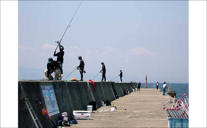 青物フィーバーの「岸和田一文字」で落とし込み釣り【大阪】午後の上り潮で44cmカンダイ浮上！