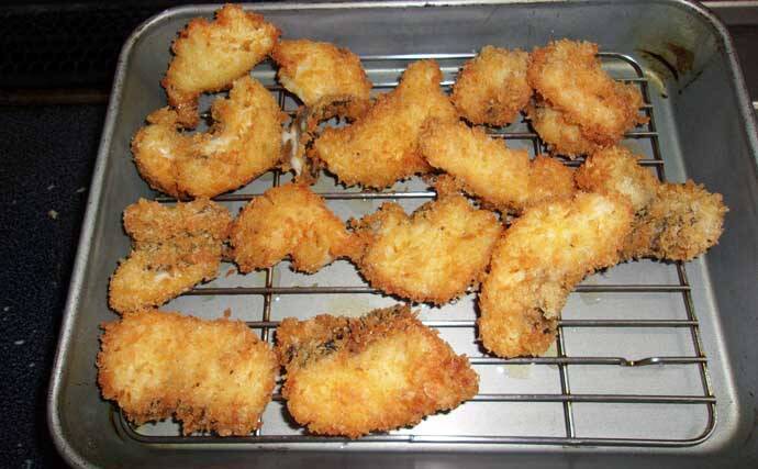青物フィーバーの「岸和田一文字」で落とし込み釣り【大阪】午後の上り潮で44cmカンダイ浮上！