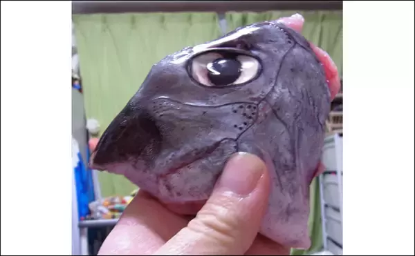 「「幻影の怪物」と呼ばれる深海魚が水揚げされて話題に　そのお味は？」の画像