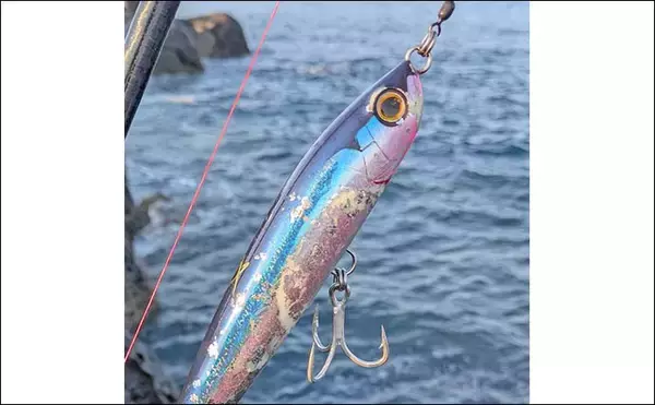 「五島列島の遠征ロックショア釣行でヒラマサ5kg級手中！【長崎・小値賀島】地磯歩きでチャンスつかむ」の画像