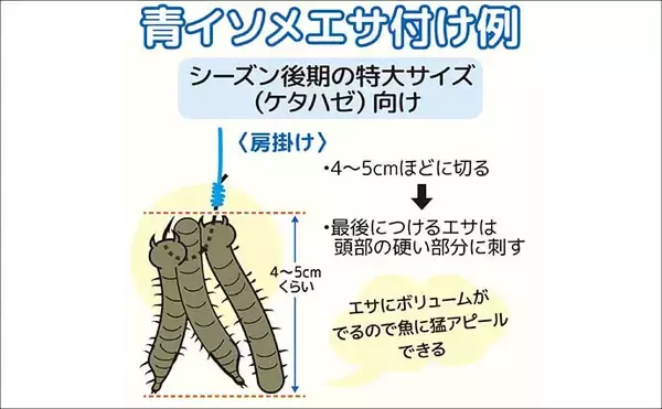 「「落ちハゼを狙え！」乗合船ハゼ入門ガイド　出船港の選び方からタックル・アワセまで徹底解説」の画像
