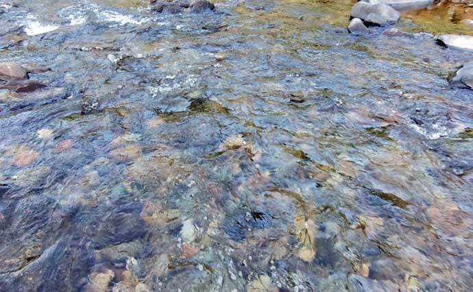 「渓流釣りのエサは季節で変わる！」 春～初夏に活躍する川虫3選を解説