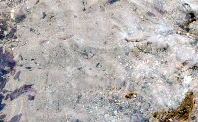 「渓流釣りのエサは季節で変わる！」 春～初夏に活躍する川虫3選を解説