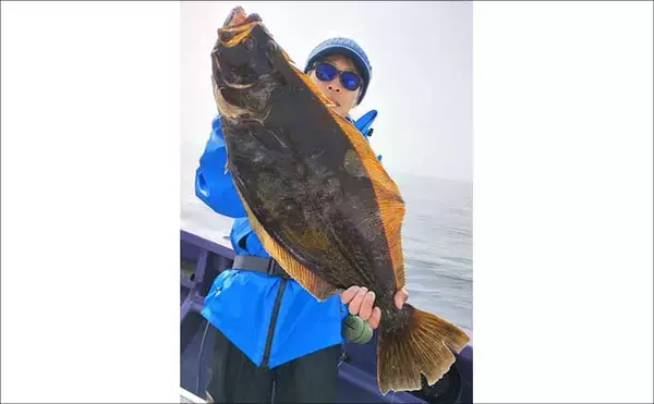 「「船宿レコード更新！」大原沖のイワシ泳がせ釣りで7kg大型マハタ堂々浮上【春栄丸・千葉】」の画像
