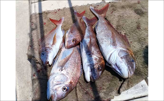 「一つテンヤ」や「イカ流し釣り」で5kg超え大型マダイが好反応【船釣り釣果速報6選・長崎／佐賀】