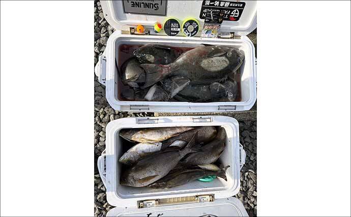 沖磯フカセ釣りでイサキ数釣り＆40cmクロ手中！【大分】ロックゲームではアカハタもヒット