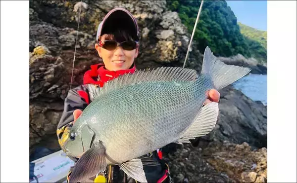 「大分県鶴見の沖磯で良型イサキが連発！　40cm後半のクロ（グレ）も登場」の画像